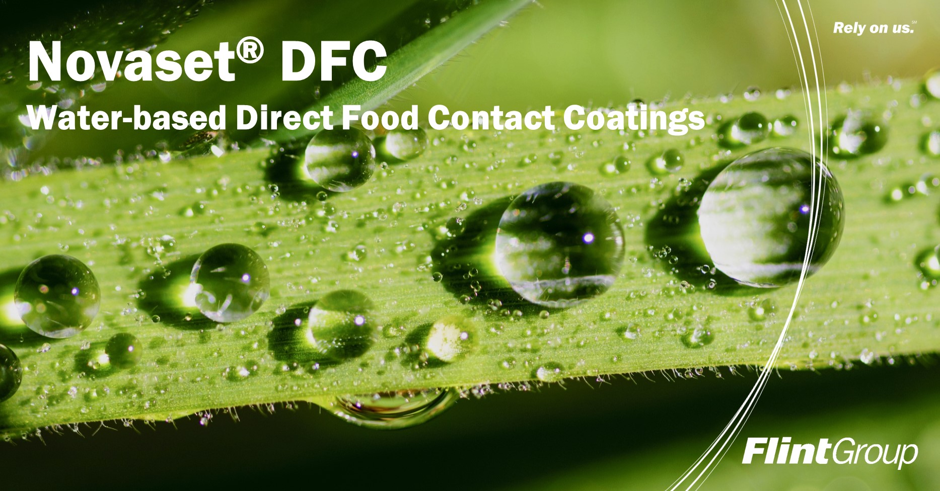 Flint Group Sheetfed Novaset Dfc
